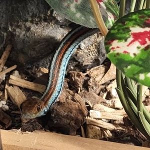 Meet your Posher, Jeff